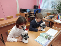 IMG20250306100044